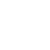 LIO_LOGO_TRANSPARENT_BG_WHITE