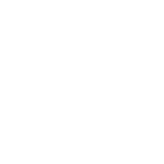 LIO_LOGO_TRANSPARENT_BG_WHITE